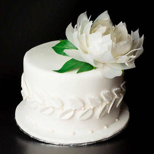 Afbeelding van White Flower