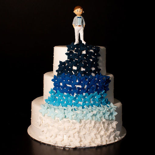 Afbeelding van Communie In Blue