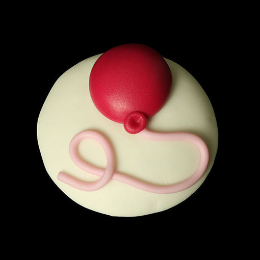 Afbeelding van Sweet Pinky Balloon